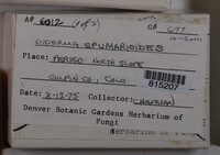 Image Associated With the Occurence